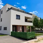 Princess Lea\'S Apartment